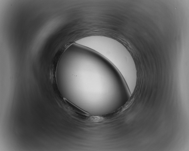 X0000099450429200805090731