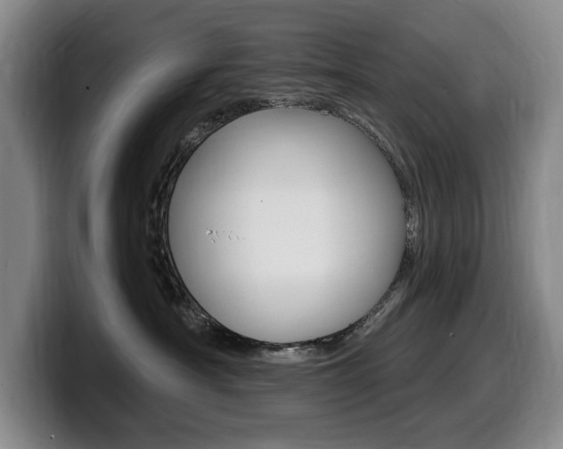 X0000099450430200805090731