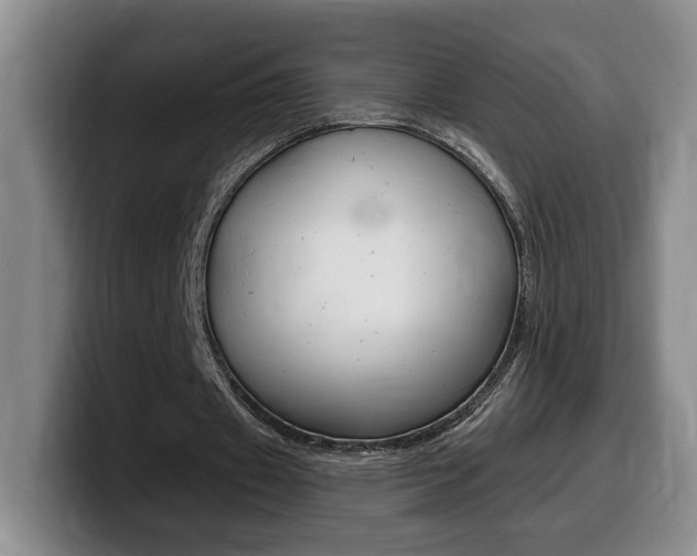 X0000099450433200805090730