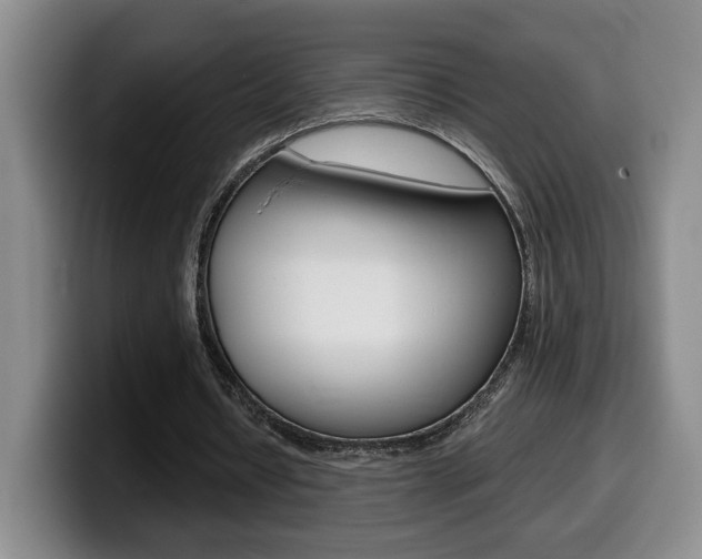 X0000099450434200805090730