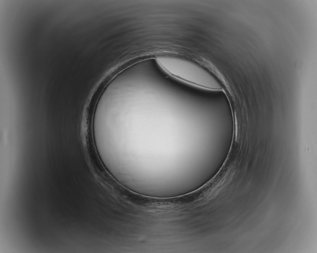 X0000099450435200805090730