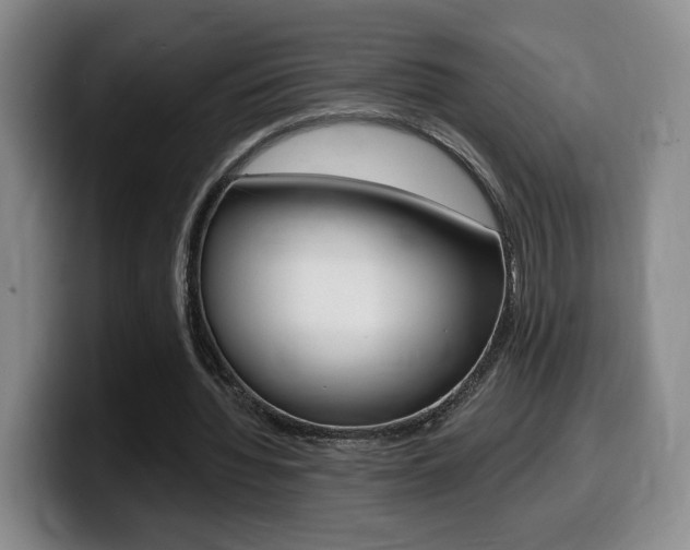 X0000099450436200805090730