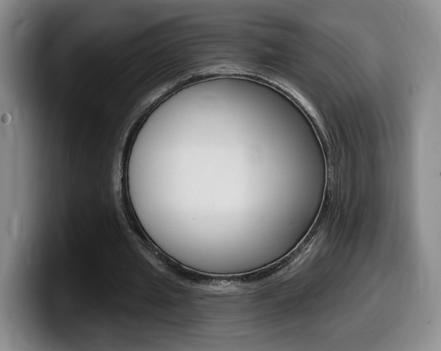 X0000099450437200805090730