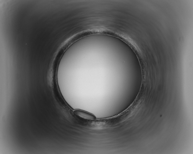 X0000099450440200805090730