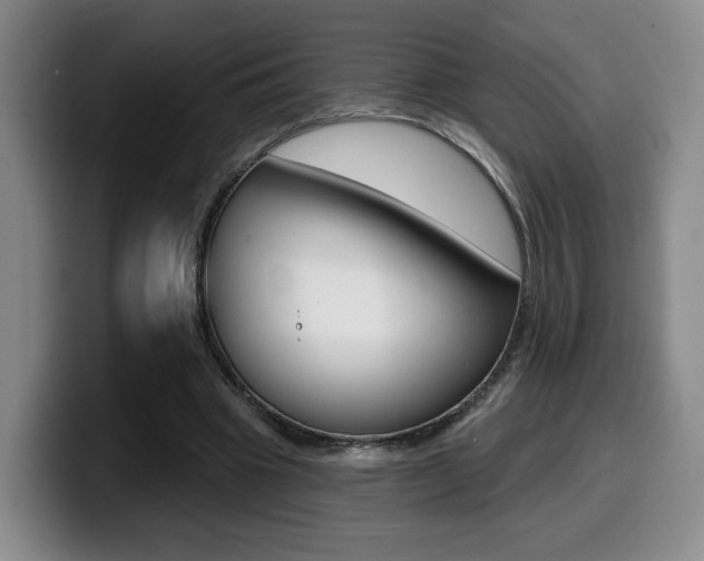 X0000099450441200805090730