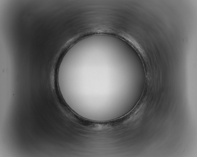 X0000099450442200805090730