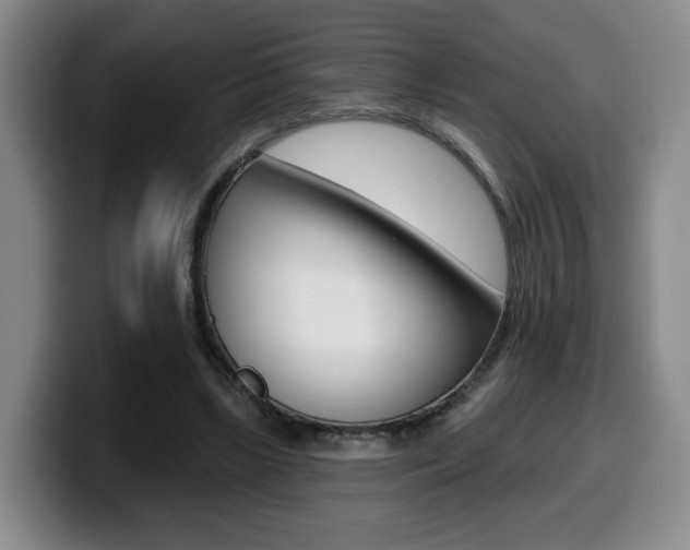 X0000099450443200805090730