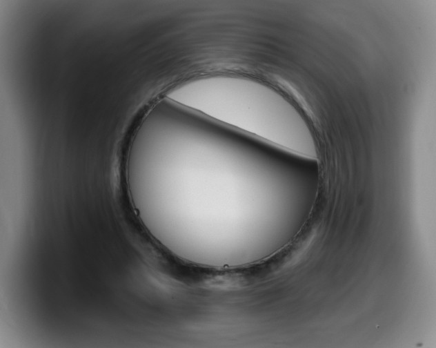 X0000099450447200805090731