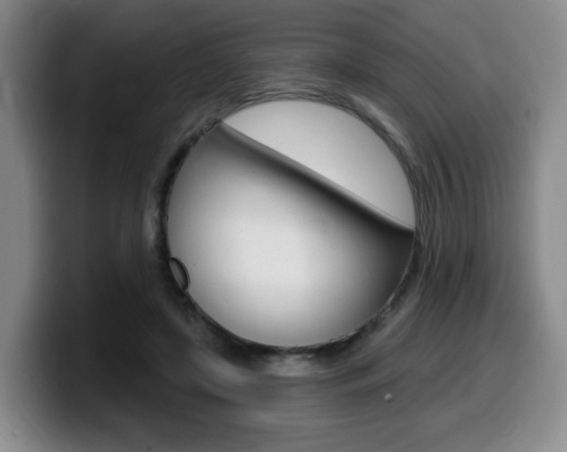 X0000099450451200805090731