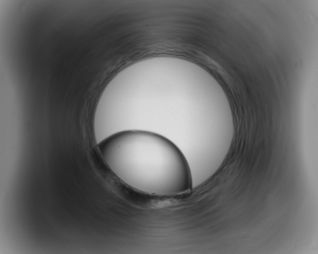 X0000099450452200805090731