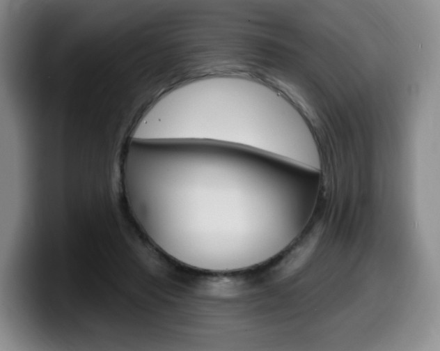 X0000099450453200805090731