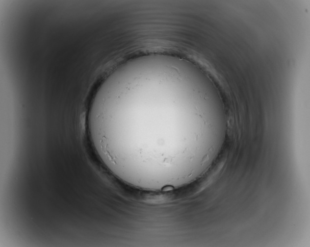 X0000099450454200805090731