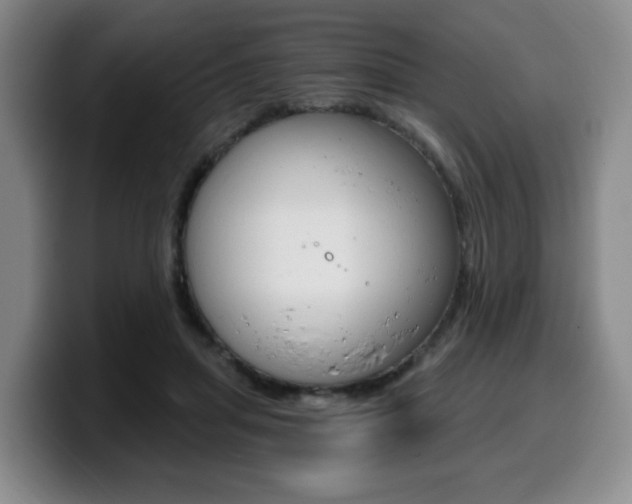 X0000099450455200805090731
