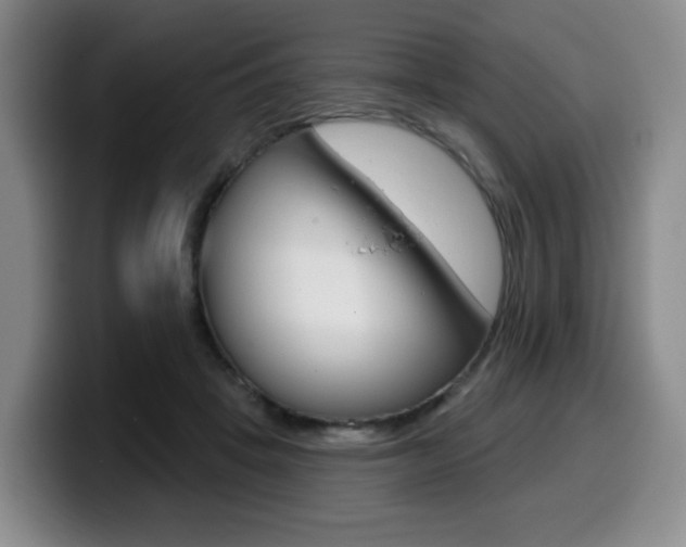X0000099450457200805090731