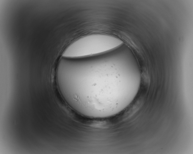 X0000099450458200805090731