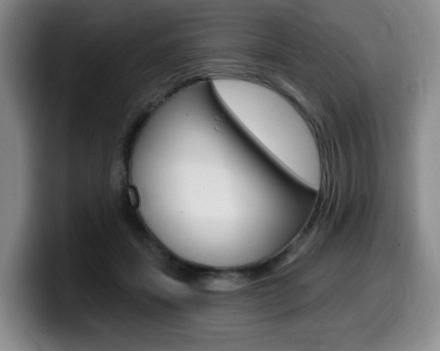X0000099450459200805090731