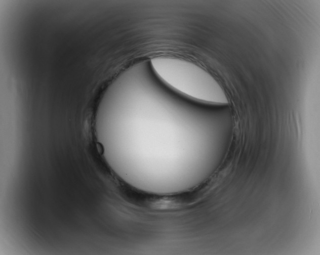 X0000099450460200805090731