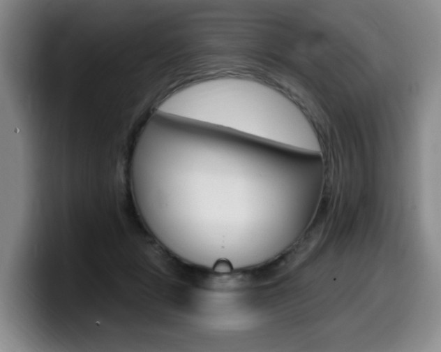 X0000099450461200805090731