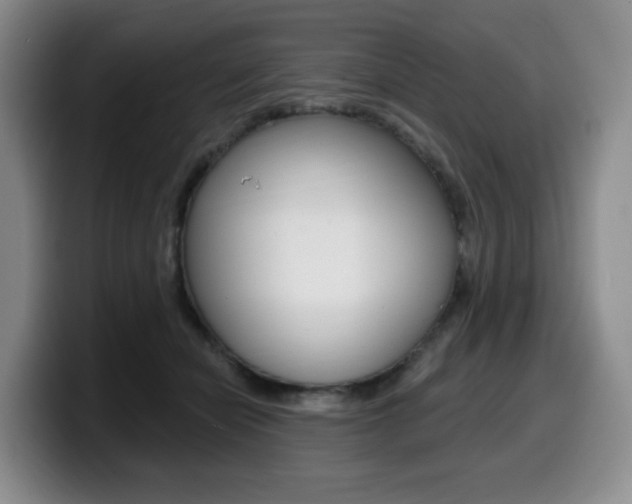 X0000099450462200805090731
