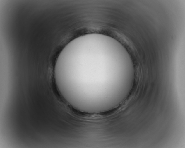 X0000099450463200805090731