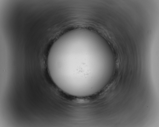 X0000099450464200805090731
