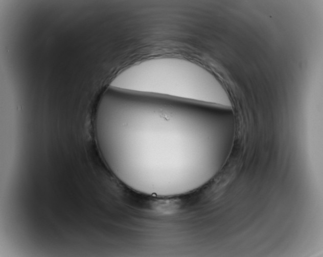 X0000099450465200805090731