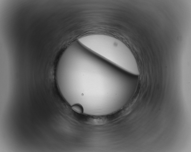 X0000099450466200805090731