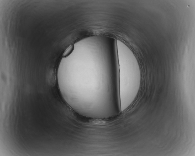 X0000099450471200805090731