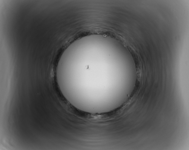 X0000099450472200805090731