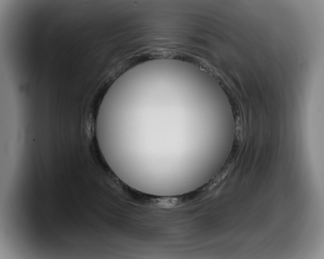 X0000099450474200805090731