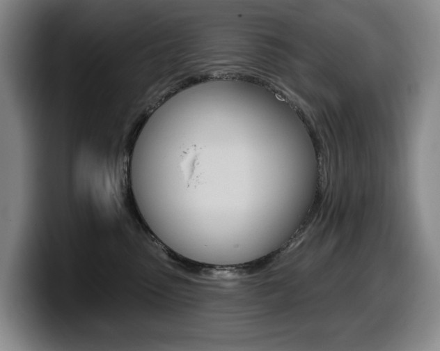 X0000099450475200805090731
