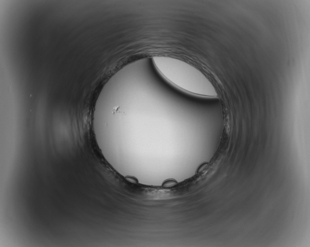 X0000099450476200805090731