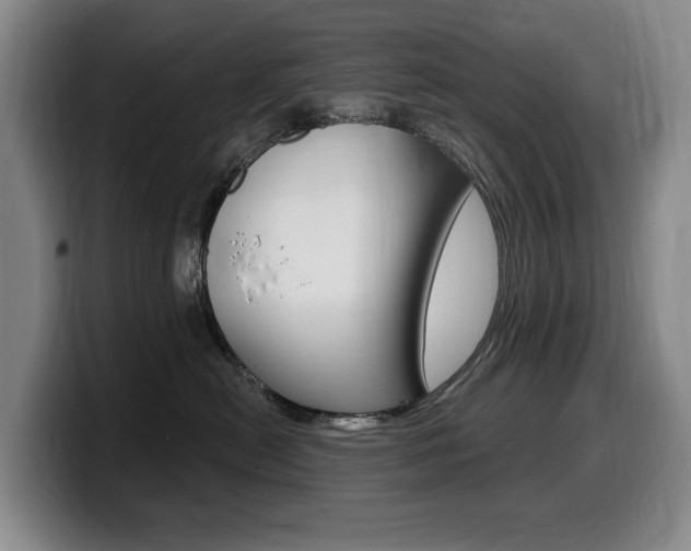 X0000099450478200805090731