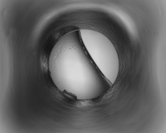 X0000099450479200805090731