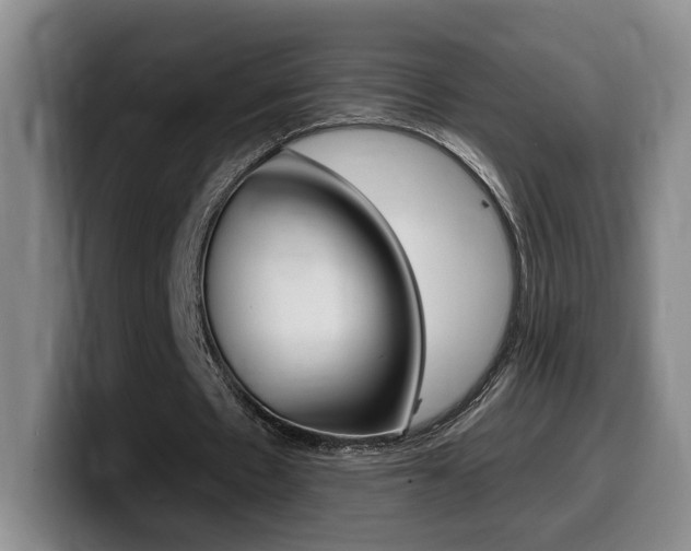 X0000099450481200805090730