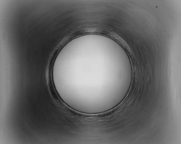 X0000099450482200805090730
