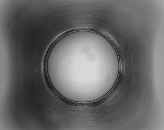 X0000099450483200805090730