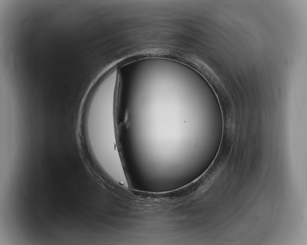 X0000099450484200805090730