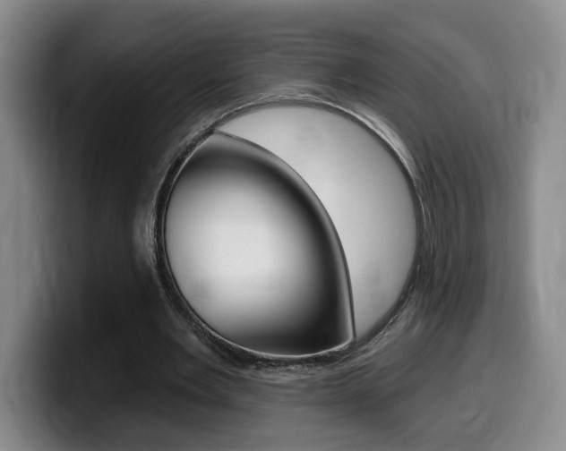 X0000099450485200805090730
