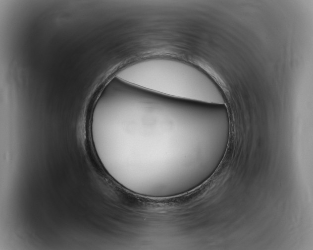 X0000099450486200805090730