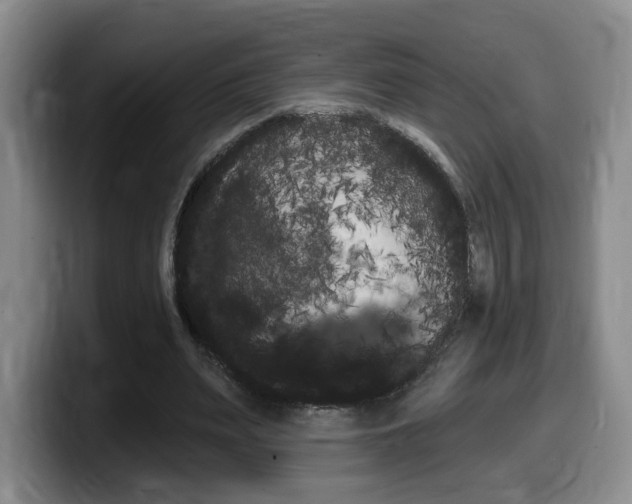 X0000099450487200805090730