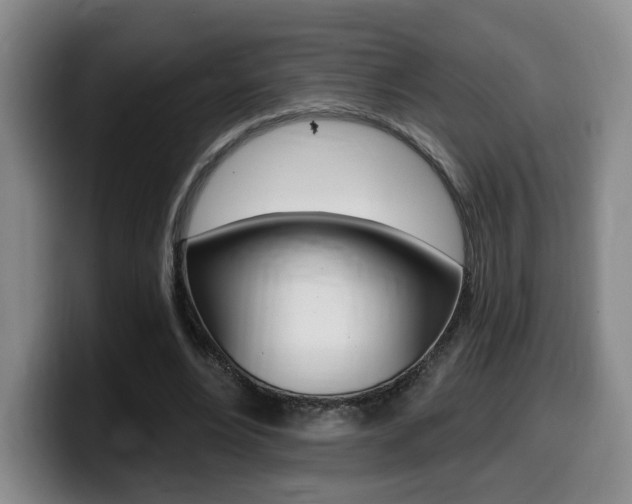 X0000099450488200805090730