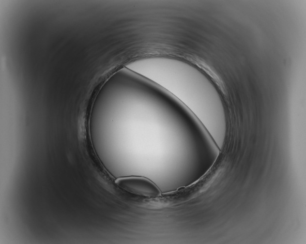 X0000099450489200805090730