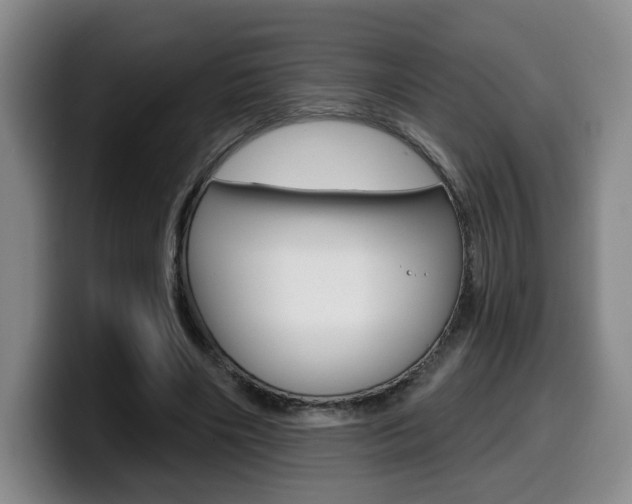 X0000099450490200805090730