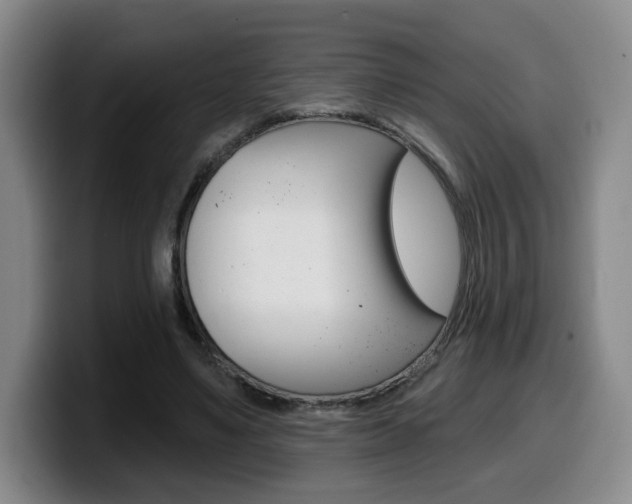 X0000099450491200805090730