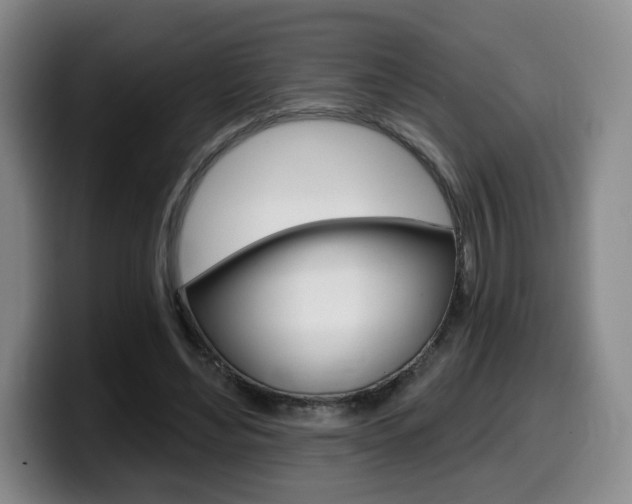 X0000099450492200805090730