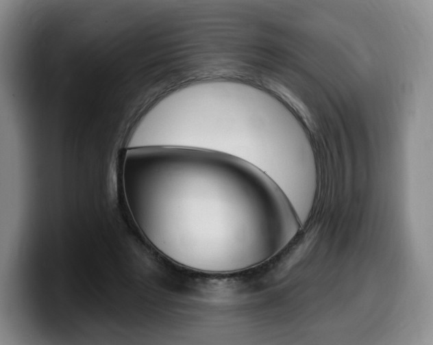 X0000099450493200805090730