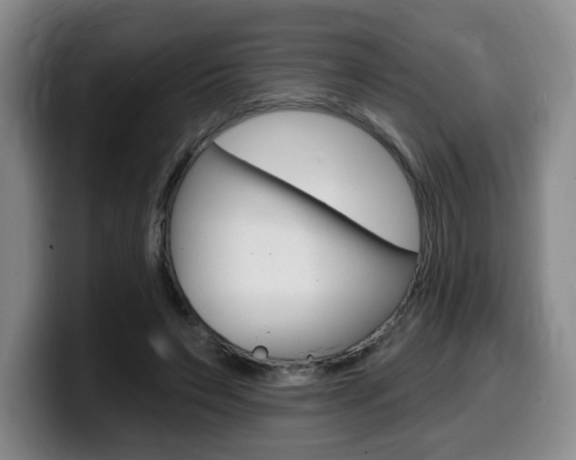 X0000099450495200805090730