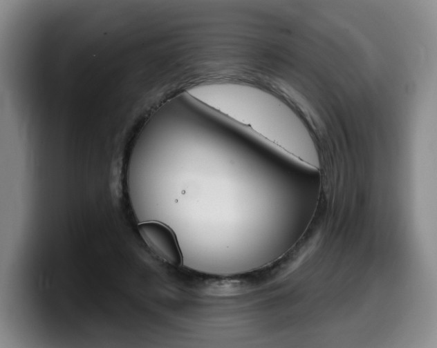 X0000099450497200805090730