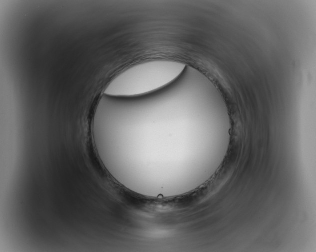 X0000099450498200805090730